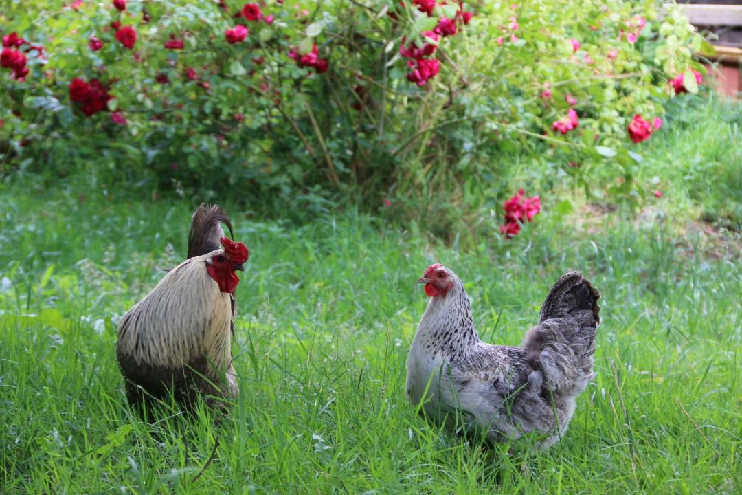 Photo of Others in Kergonan