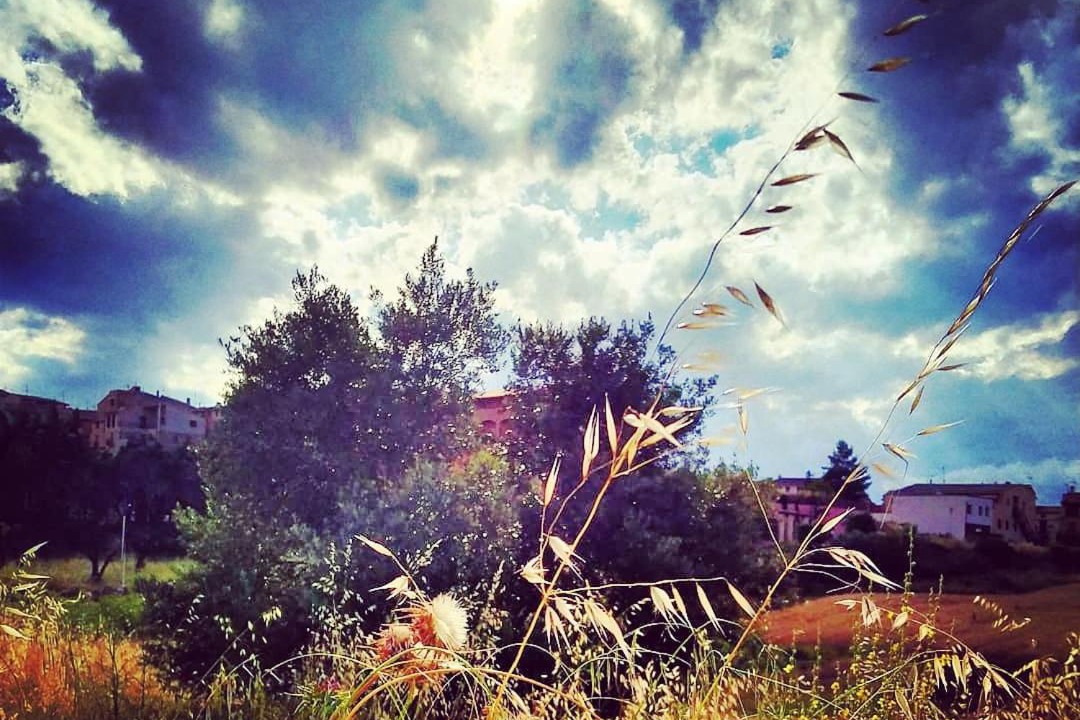 Photo of Others in Arnes