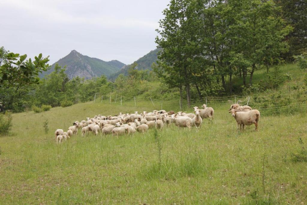 Photo of Outdoor in Brianconnet