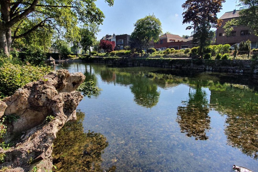 Photo of Others in Arras