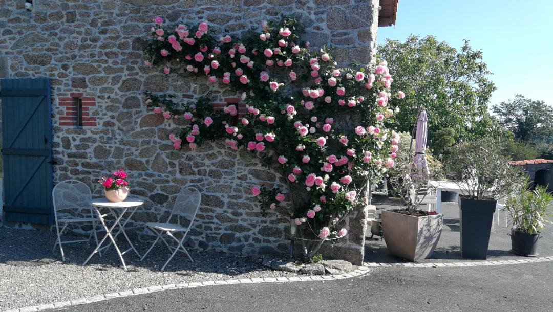 Photo of Buildings in La Verrie
