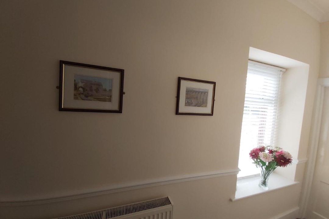 Photo of Others in Nelson