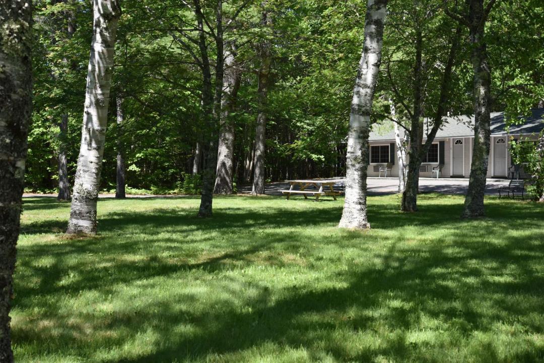 Photo of Others in Salsbury Cove