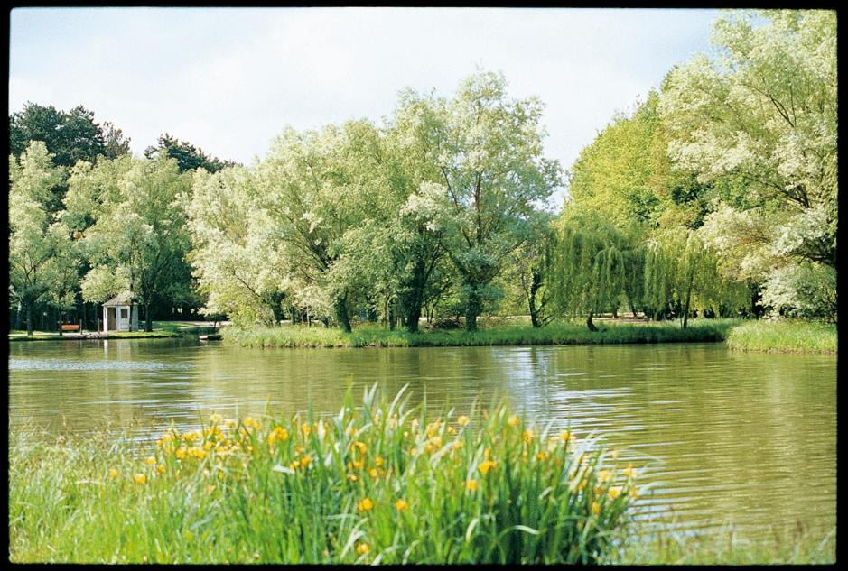 Photo of Others in Joue-les-Tours