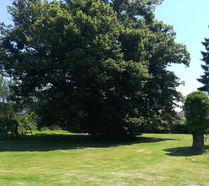 Photo of Others in Gruchet-le-Valasse