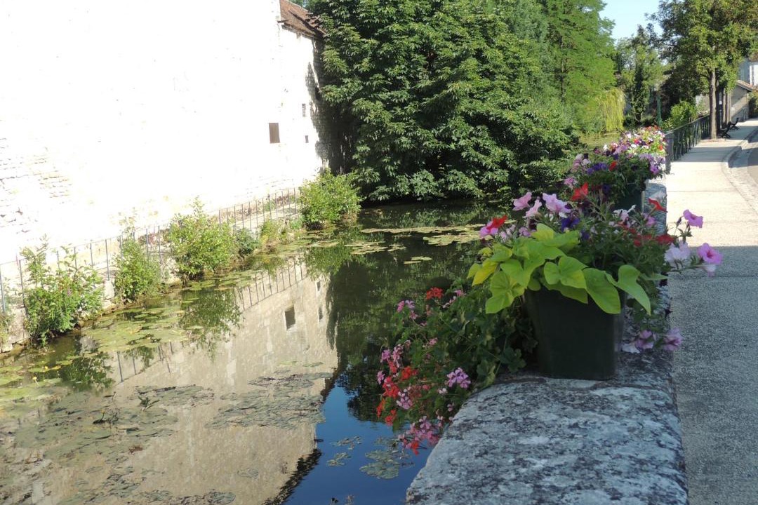 Photo of Others in Chablis