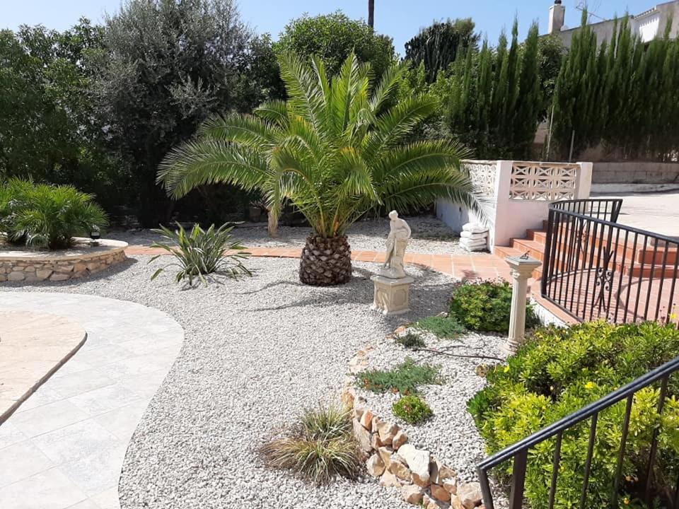 Photo of Others in Javea