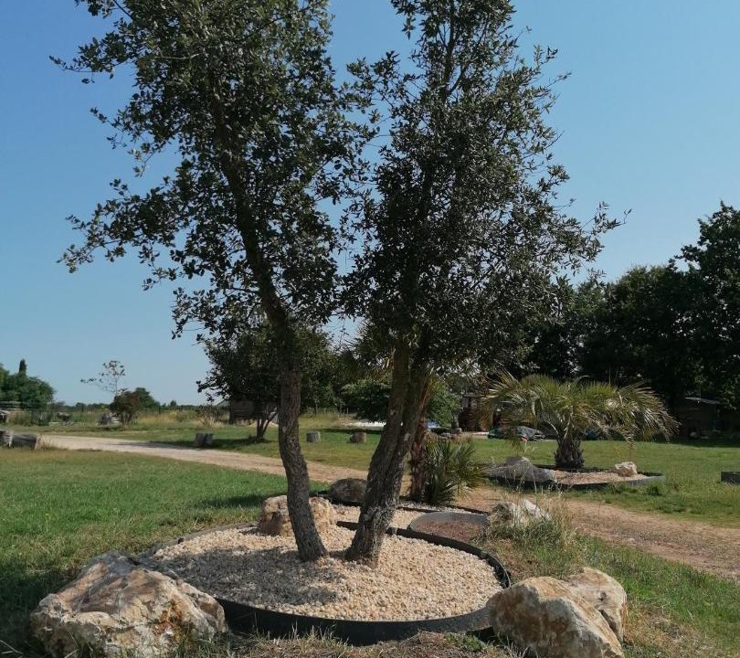 Photo of Others in Commequiers