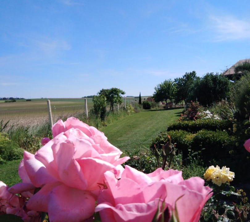 Photo of Others in Bouges-le-Chateau