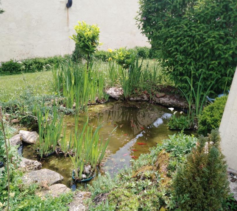 Photo of Others in Bouges-le-Chateau