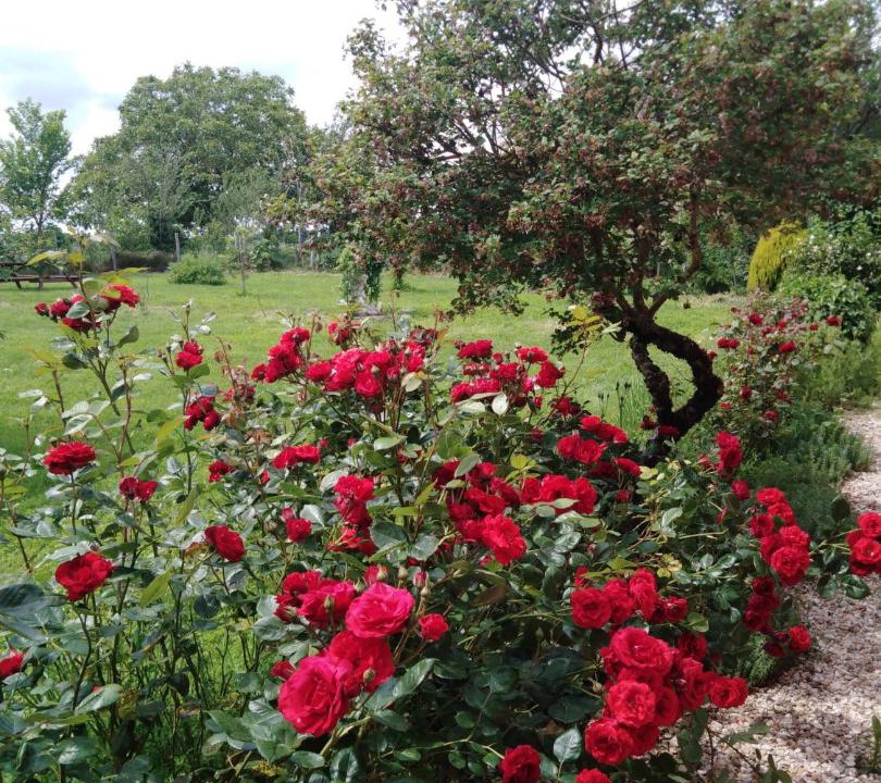 Photo of Others in Bouges-le-Chateau