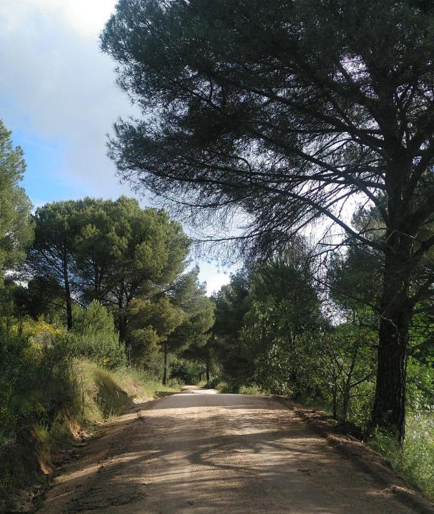 Photo of Others in Andujar