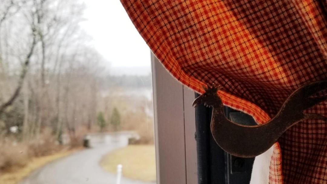 Photo of Others in Camden