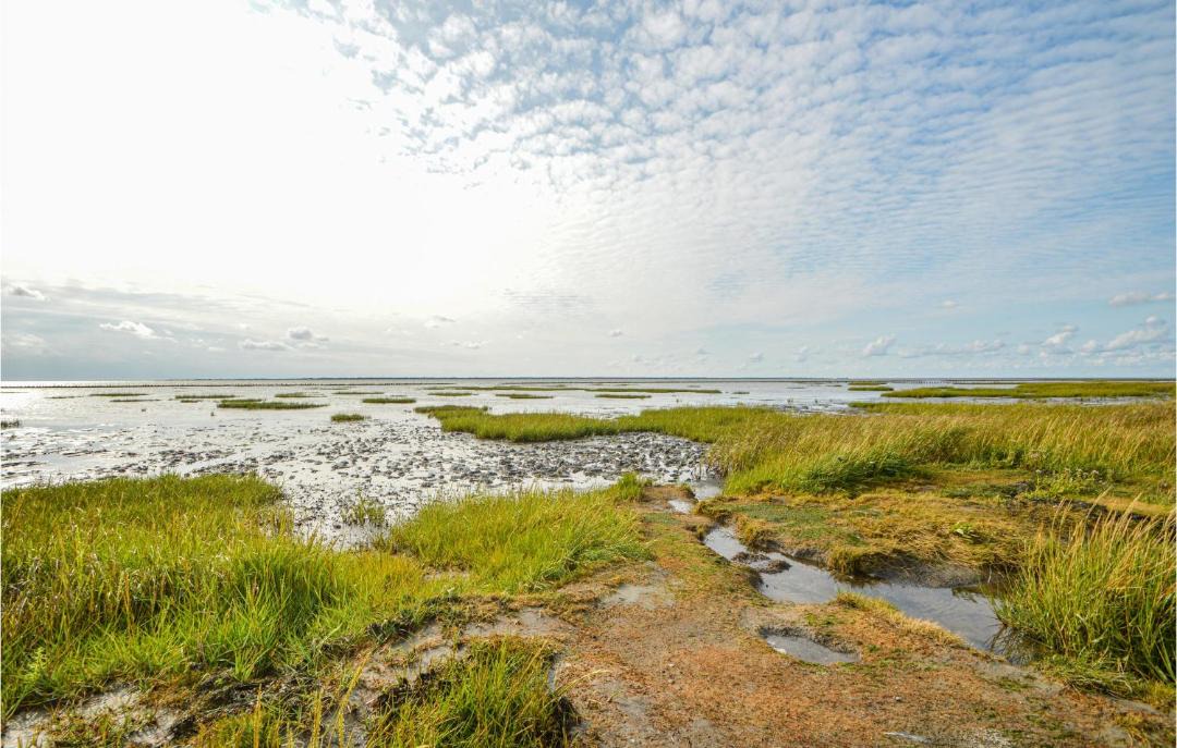 Photo of Others in Skaerbaek