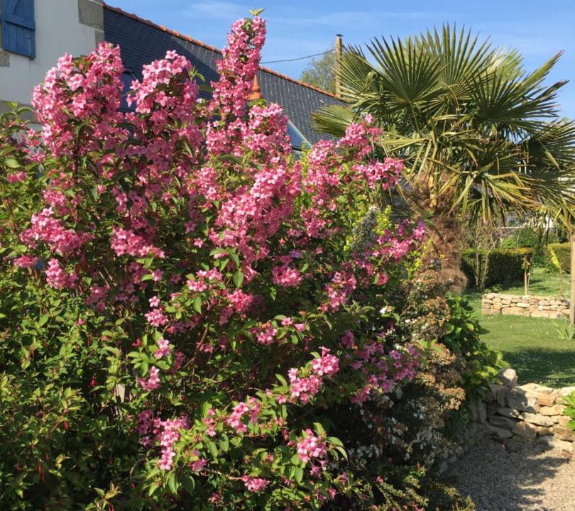 Photo of Others in Audierne