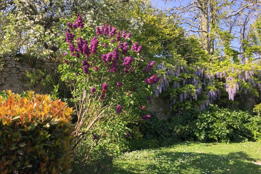 Photo of Others in Audierne