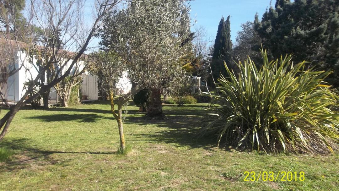 Photo of Others in Saint-Cyprien