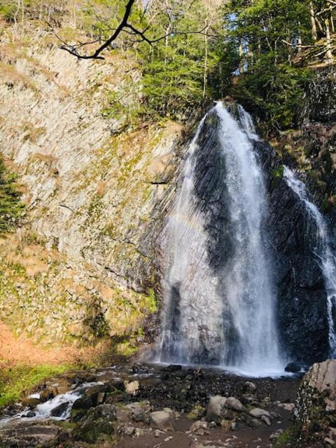 Photo of Outdoor in Mont-Dore