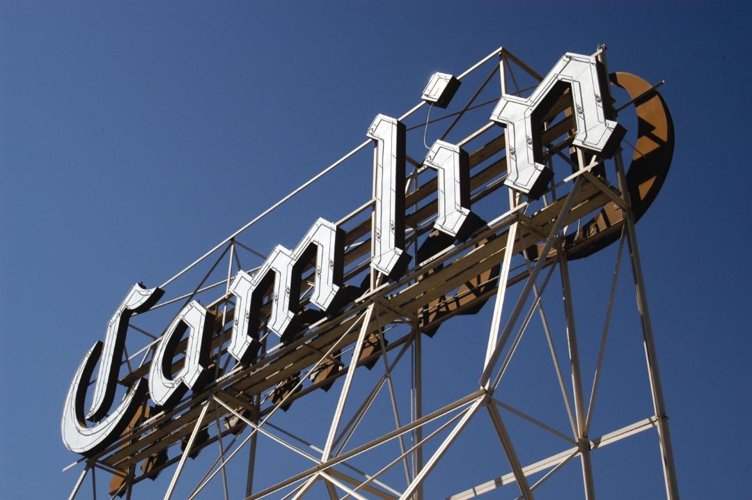 Photo of Others in Downtown Seattle