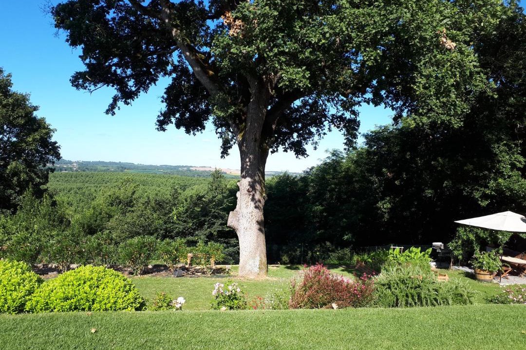 Photo of Others in Sainte-Marthe