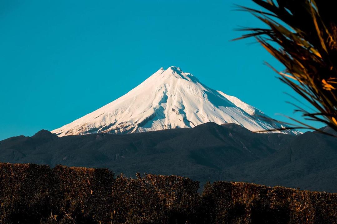 Photo of Others in Omata