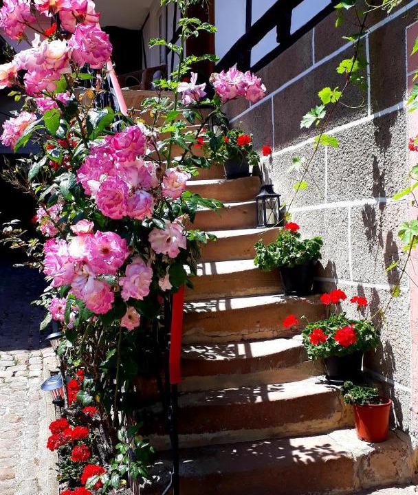 Photo of Others in Rott