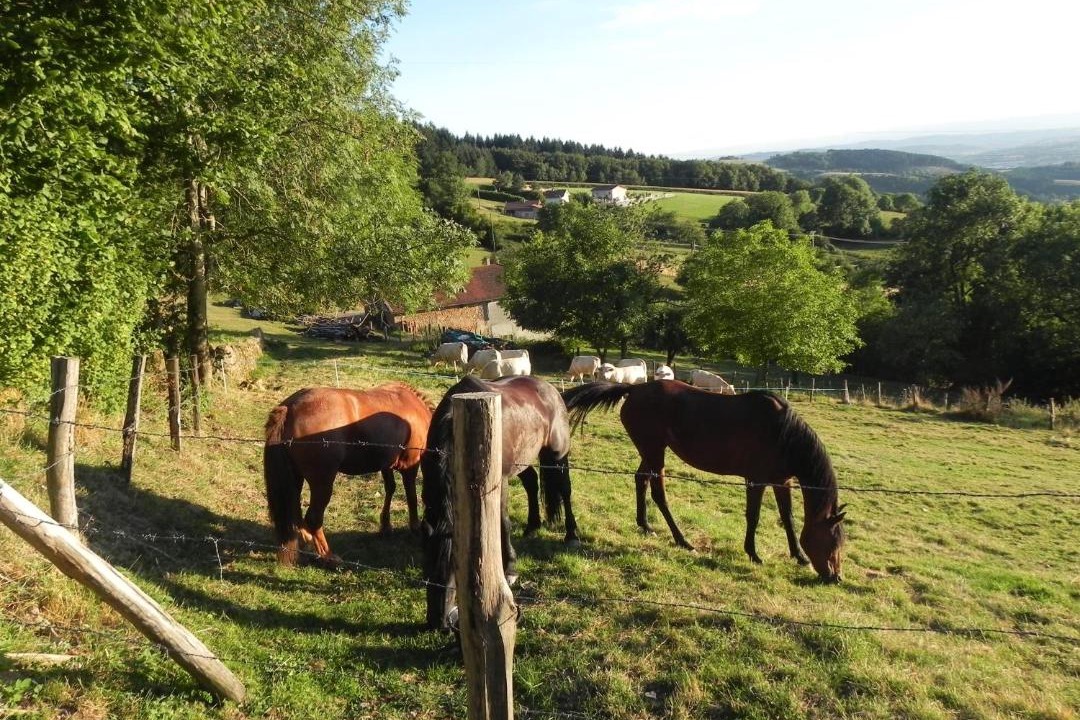 Photo of Others in Mardore