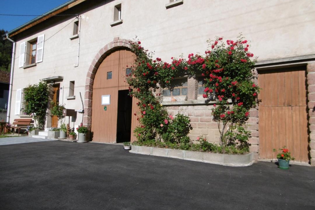 Photo of Others in Brouvelieures