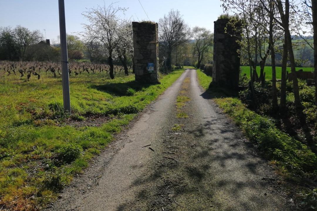 Photo of Others in Vihiers