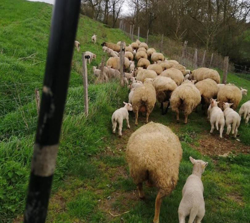 Photo of Others in Vihiers