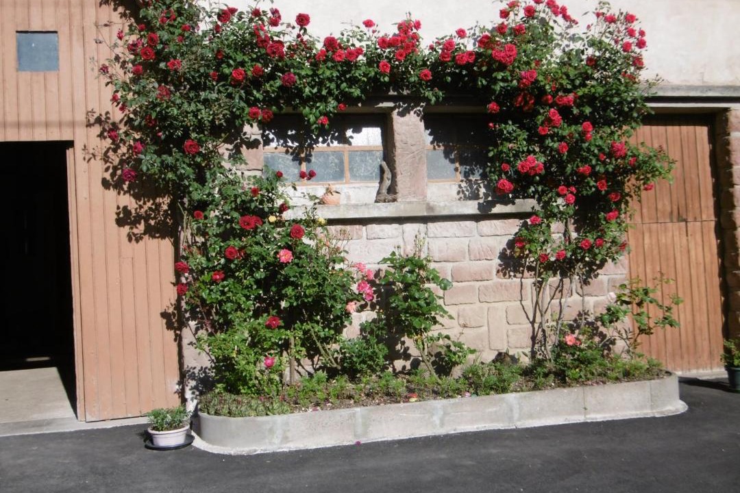 Photo of Others in Brouvelieures