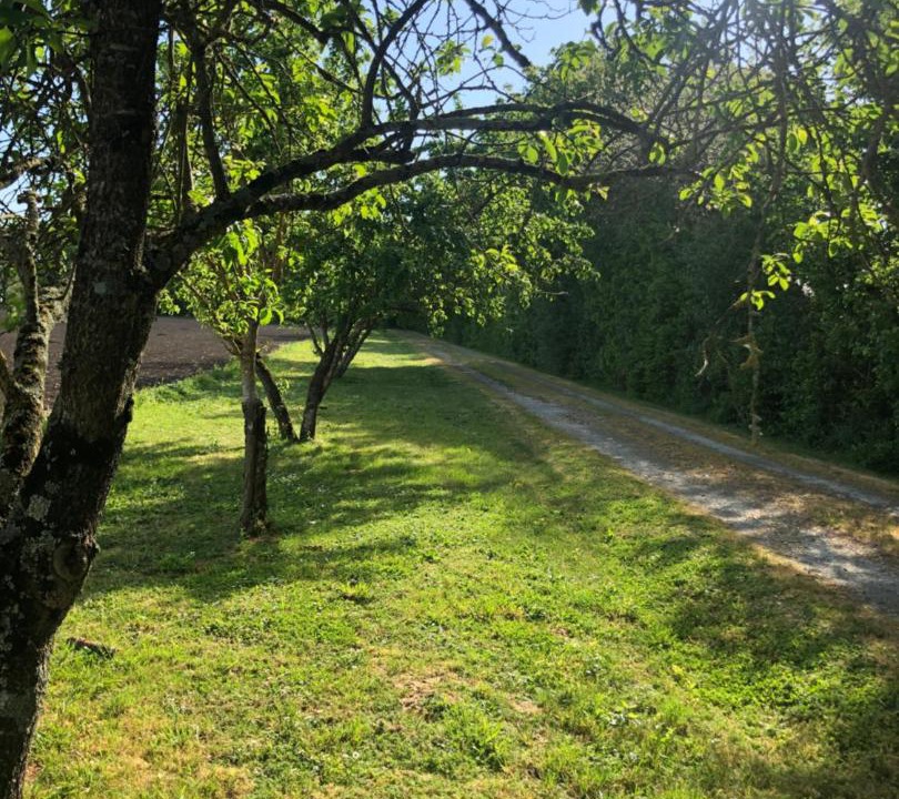 Photo of Outdoor in La Taillee