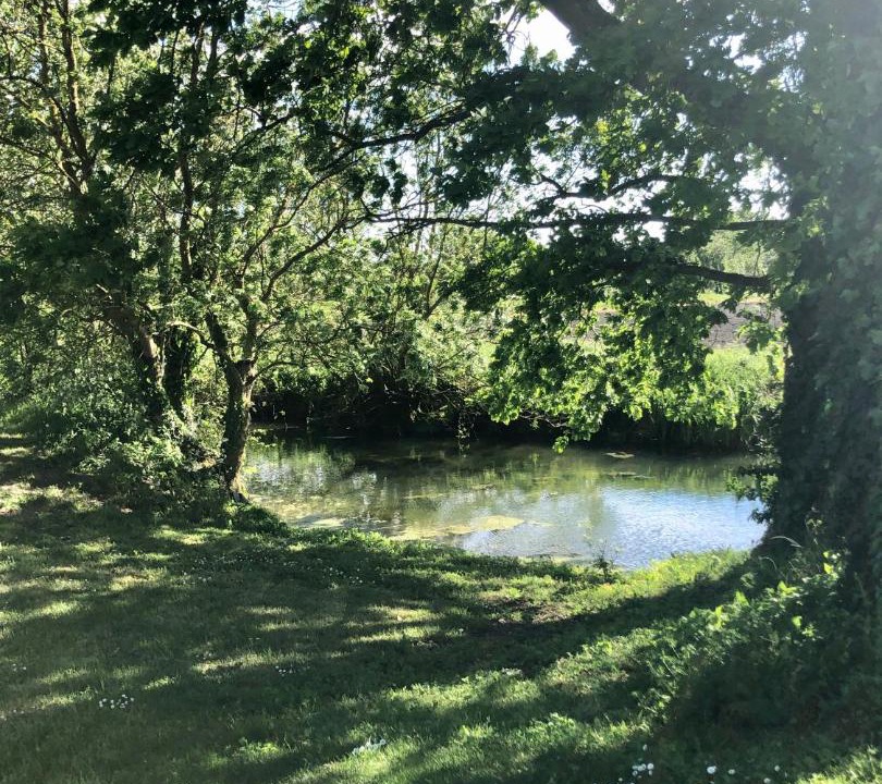 Photo of Others in La Taillee