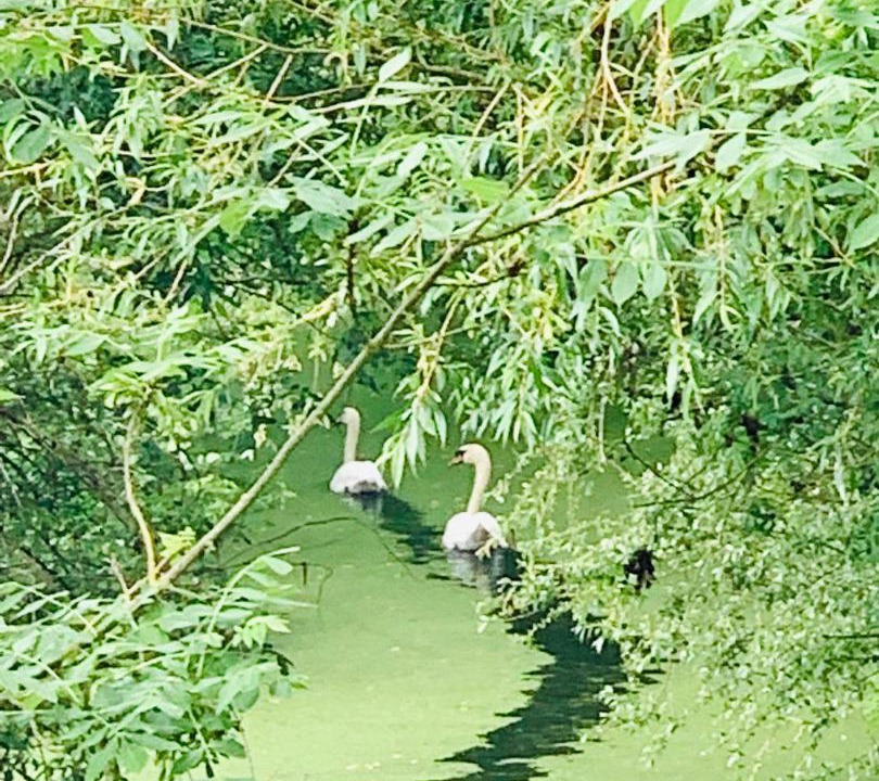 Photo of Others in La Taillee