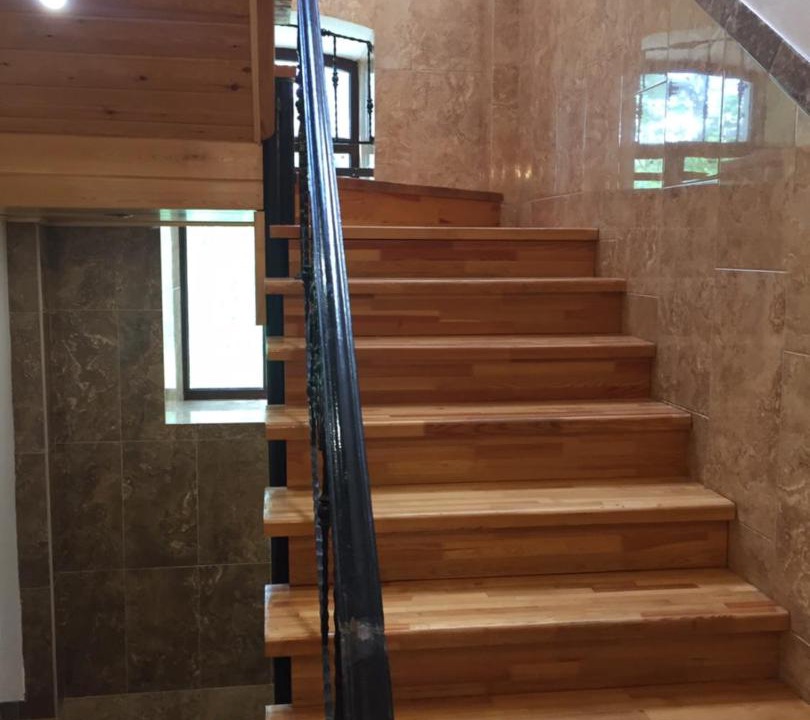 Photo of Others in Staritsa