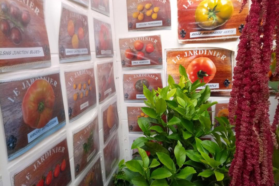 Photo of Others in Cheille