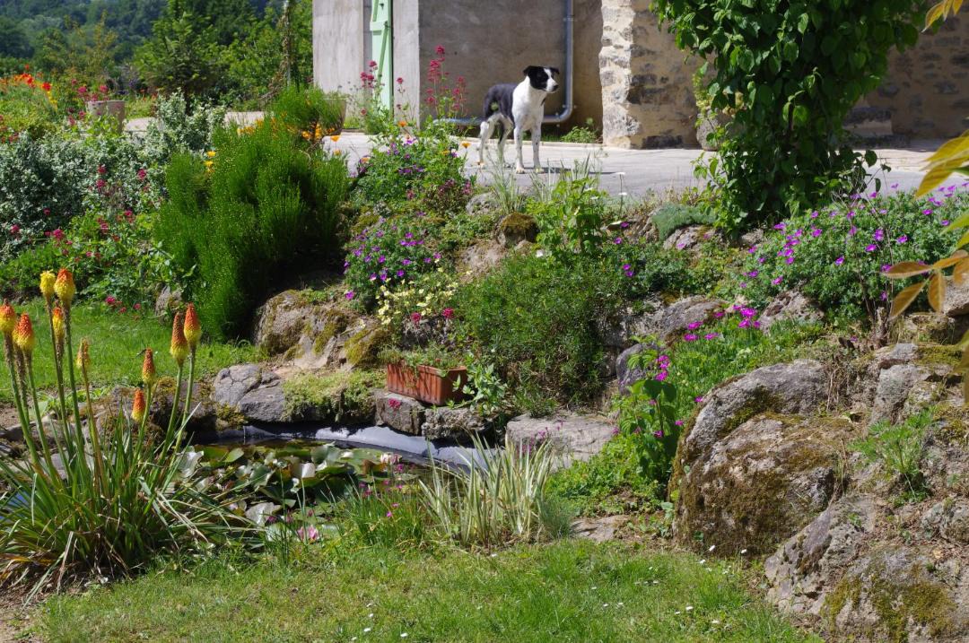 Photo of Others in Pouzauges