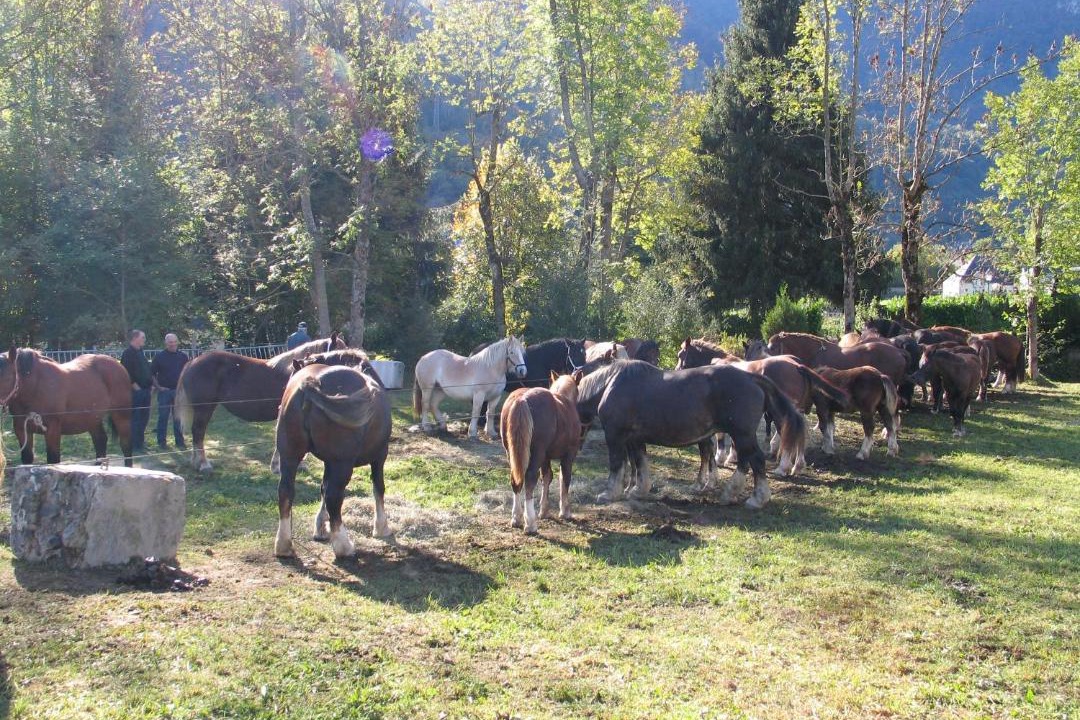 Photo of Outdoor in Arrens-Marsous