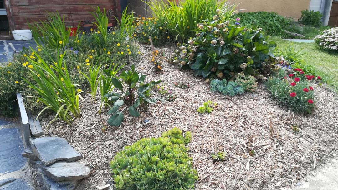 Photo of Others in Faye-d'Anjou