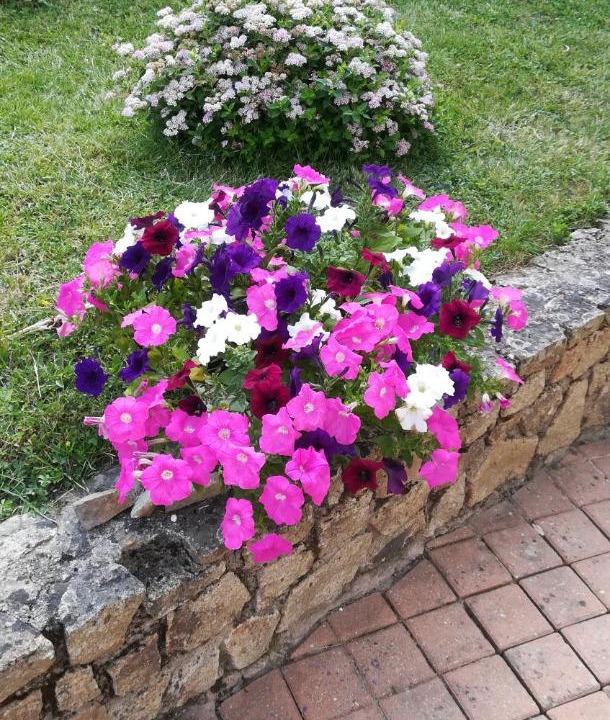 Photo of Others in Faye-d'Anjou