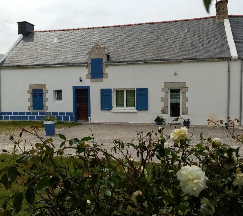 Photo of Buildings in Damgan