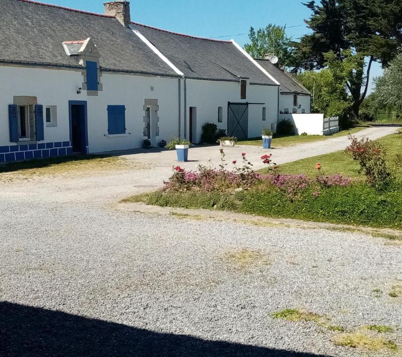 Photo of Buildings in Damgan