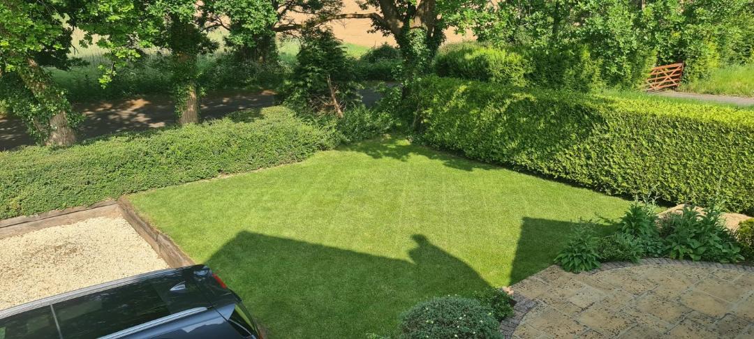 Photo of Others in Dunbridge