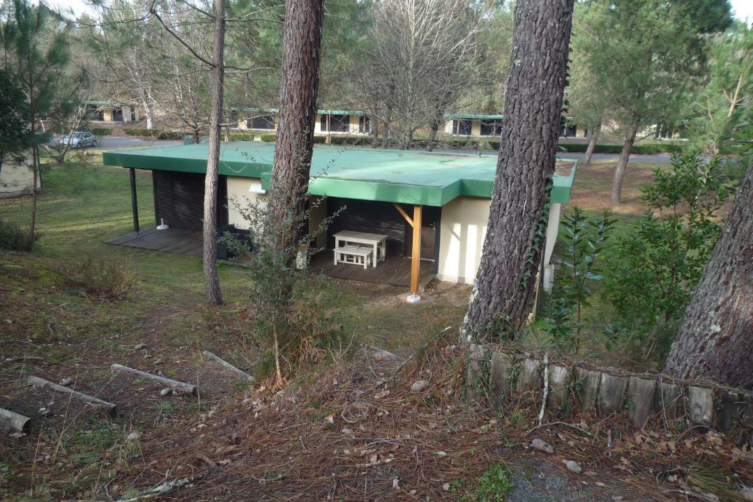 Photo of Others in Leon