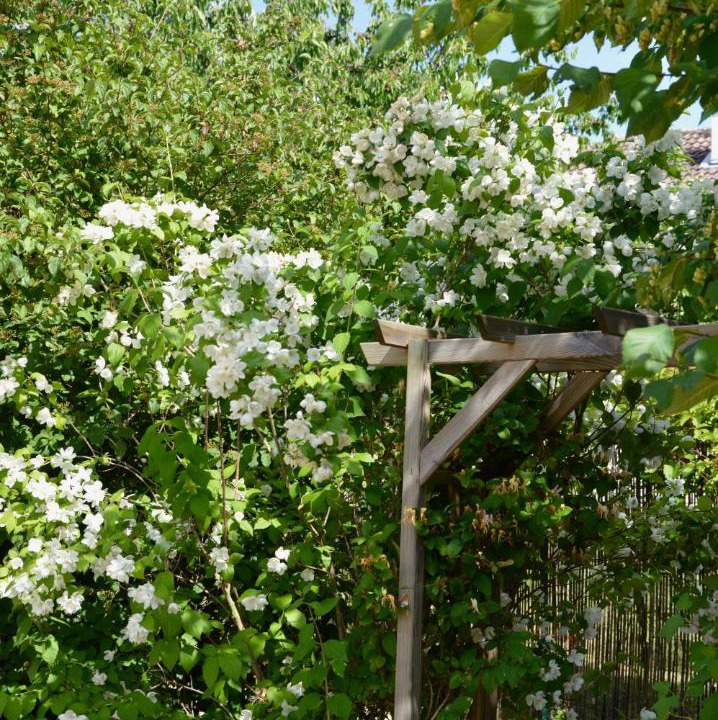 Photo of Others in Menetreux-le-Pitois