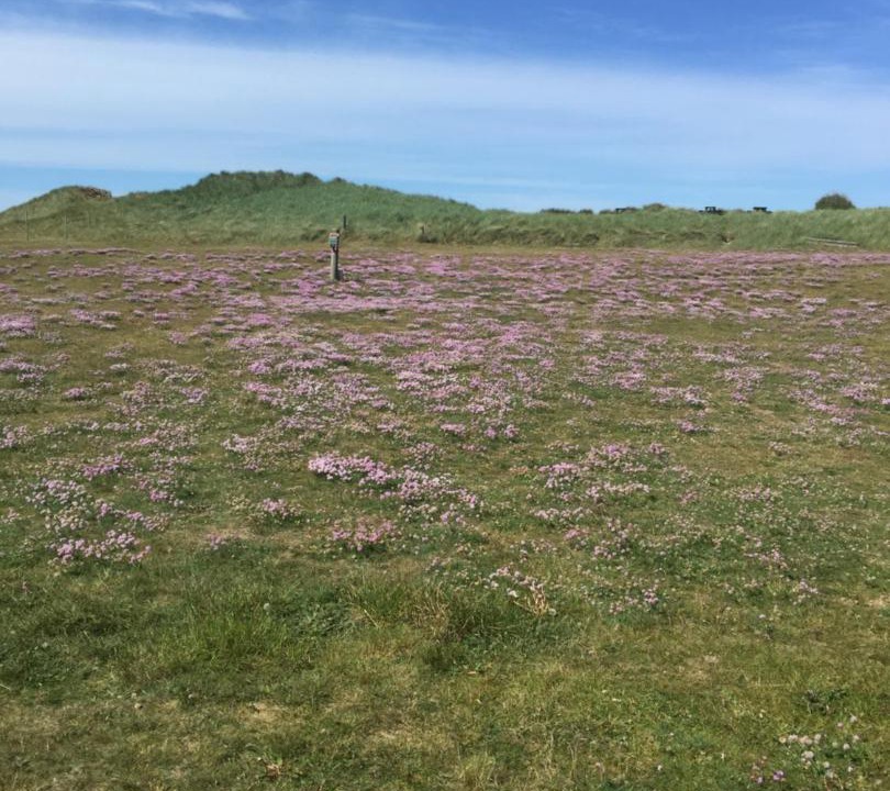 Photo of Others in Lokken