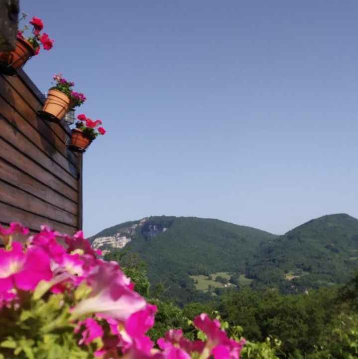 Photo of Others in Saint-Rambert-en-Bugey