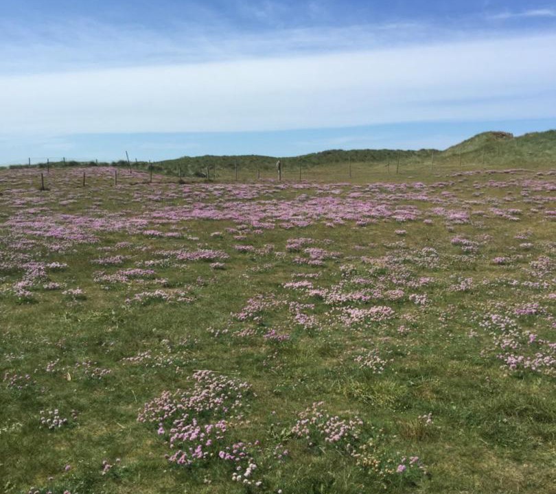 Photo of Others in Lokken