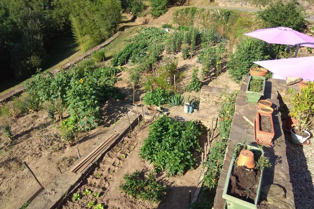 Photo of Others in Cadix