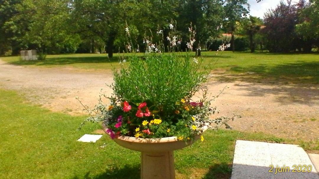 Photo of Others in Saint-Pierre-du-Mont